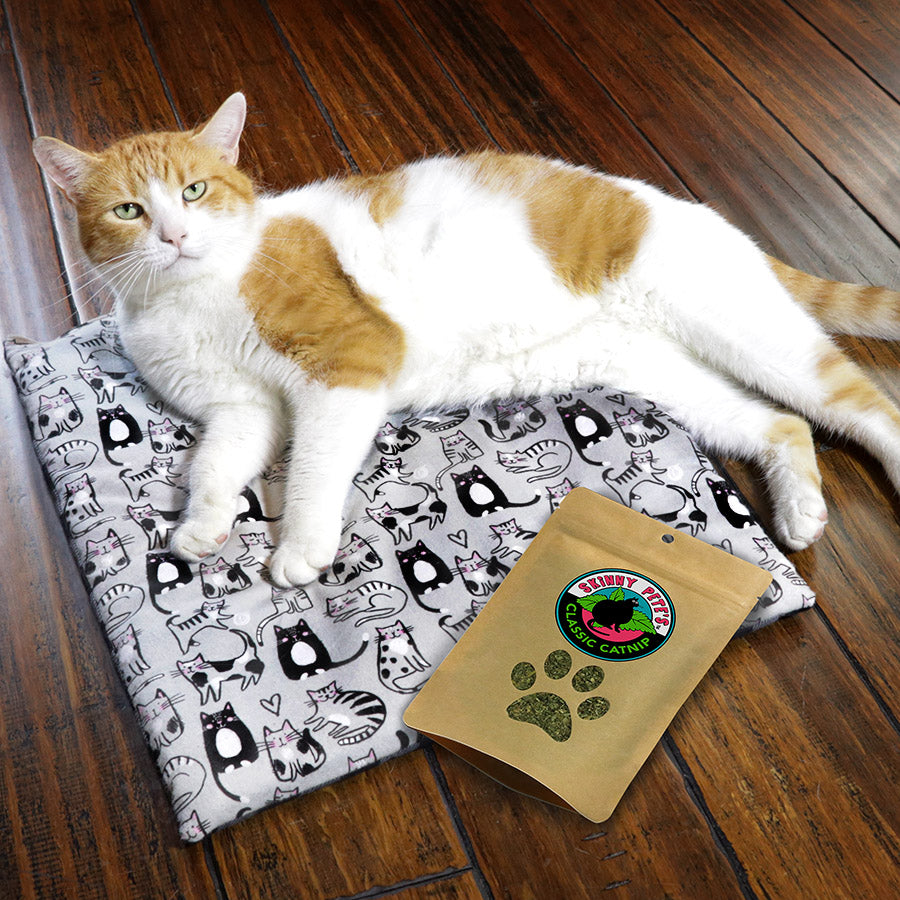 Catnip Mat & Catnip Bundle - Skinny Pete's Catnip