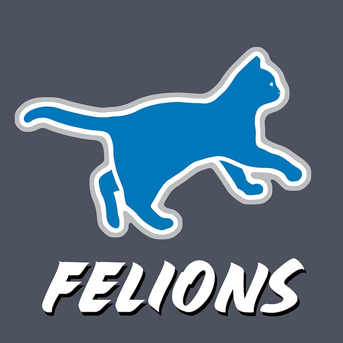 District Made Unisex VIP "Felions" Charcoal Tee - Skinny Pete's Catnip