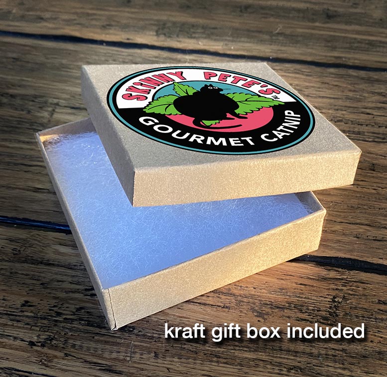 Solid Sterling Silver Cat Necklace Style #2 - Skinny Pete's Catnip