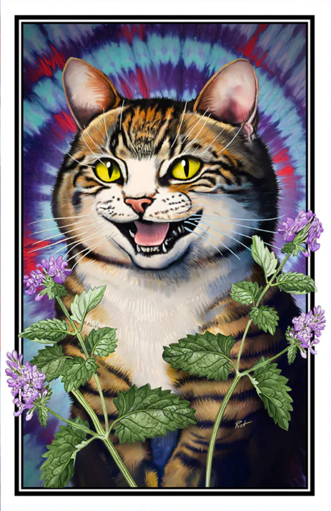 Premium Unisex "Hippie Cat" Pull Over Hoodie - Skinny Pete's Catnip