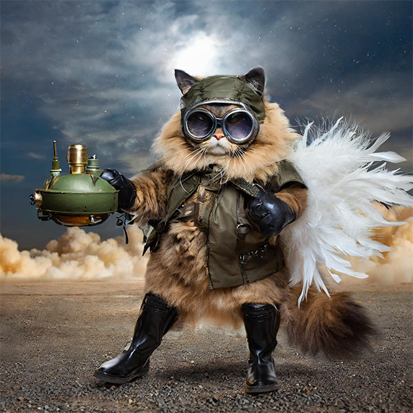 A.I. and Cats, 200 Synthetic Photos - Skinny Pete's Catnip