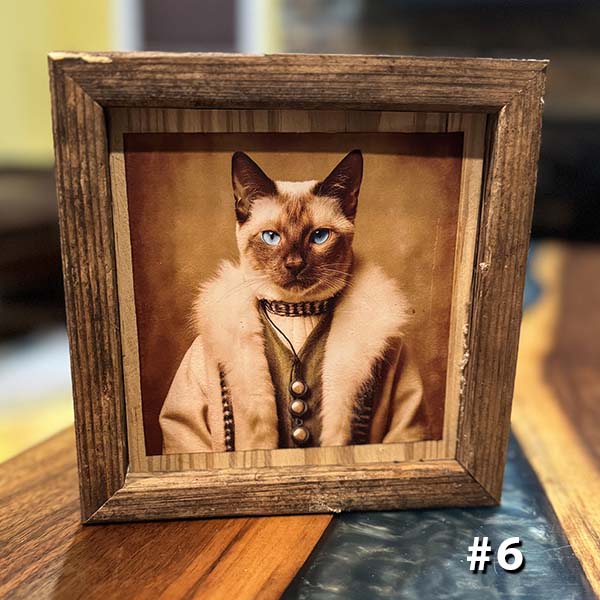 Vintage Cat Portraits - Skinny Pete's Catnip