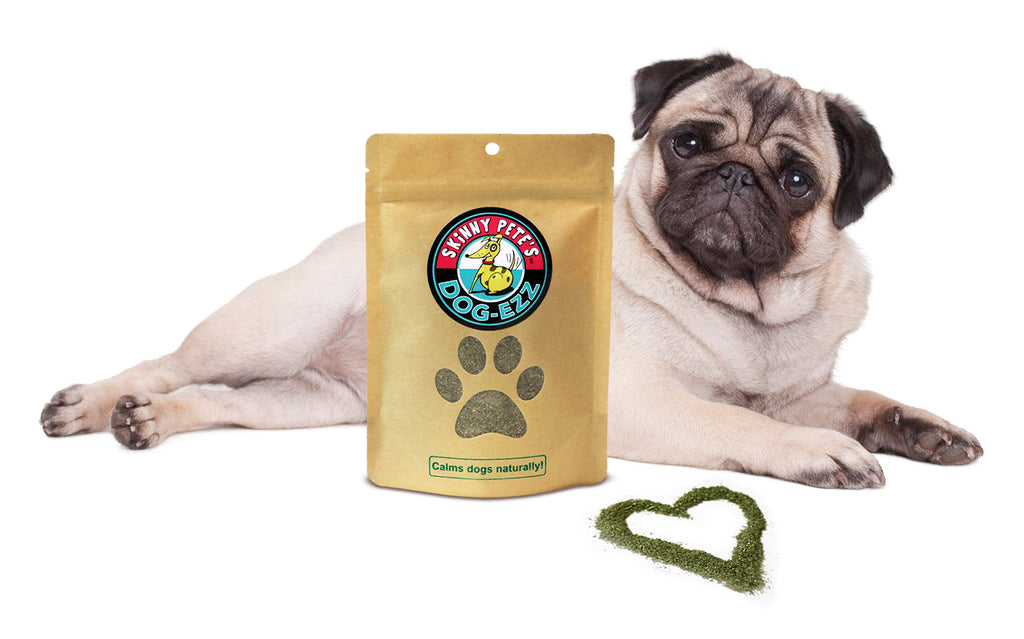 Dog-Ezz Packet - Skinny Pete's Gourmet Catnip