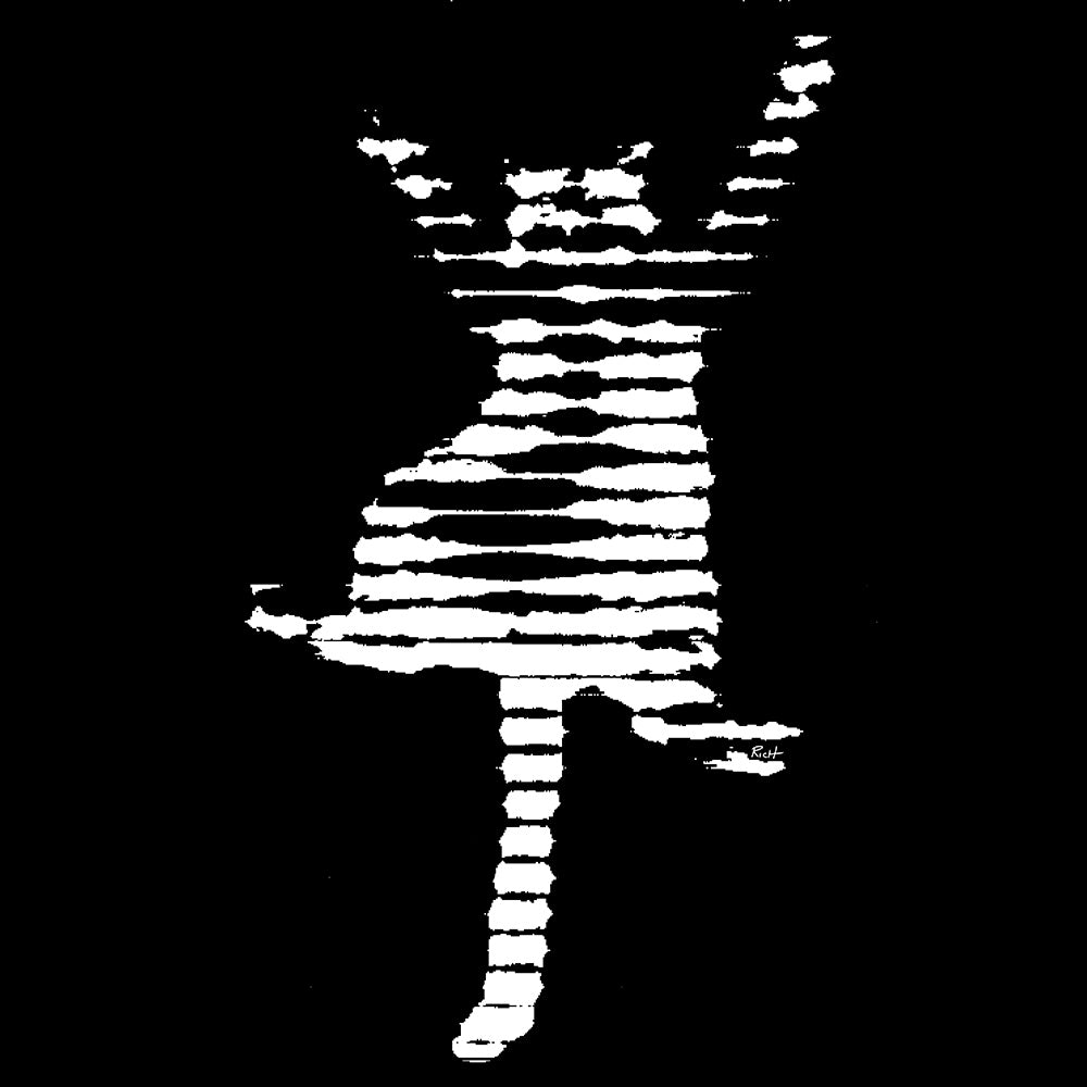 District Made "Fe_Lines" Black Perfect Tri Long Sleeve Hoodie - Skinny Pete's Gourmet Catnip