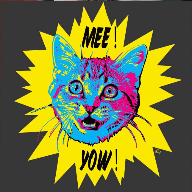 District Made "Me! Yow!" Black Perfect Tri Long Sleeve Hoodie - Skinny Pete's Catnip