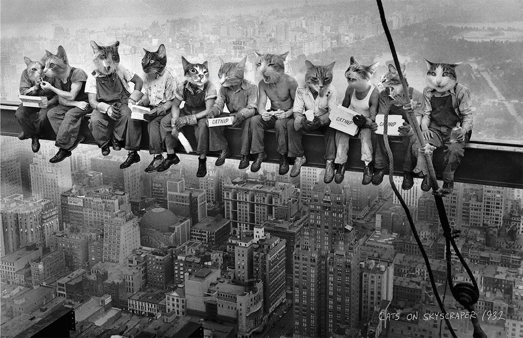 Poster, “Skyscraper Cats” - Skinny Pete's Catnip