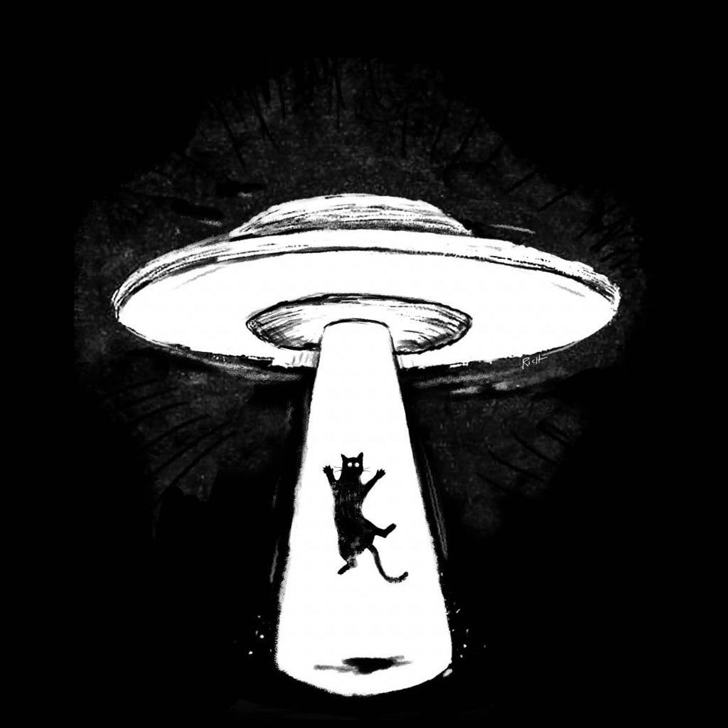 "UFO Cat" Black Perfect Tri Long Sleeve Hoodie - Skinny Pete's Catnip