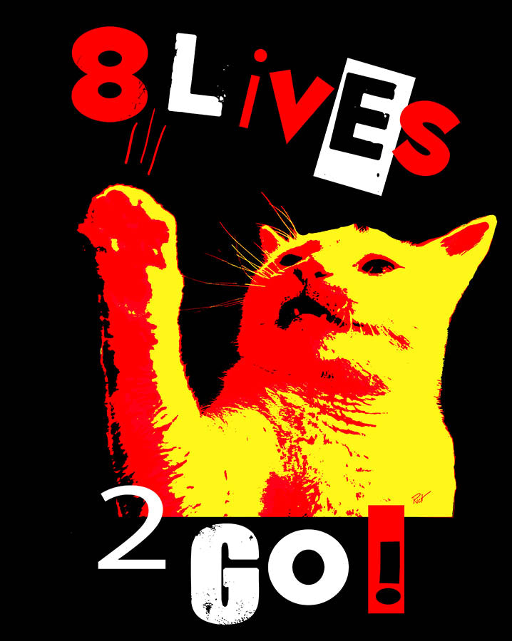 Ladies Charcoal “8 Lives 2 Go!!” Perfect Tri Racerback Tank - Skinny Pete's Catnip