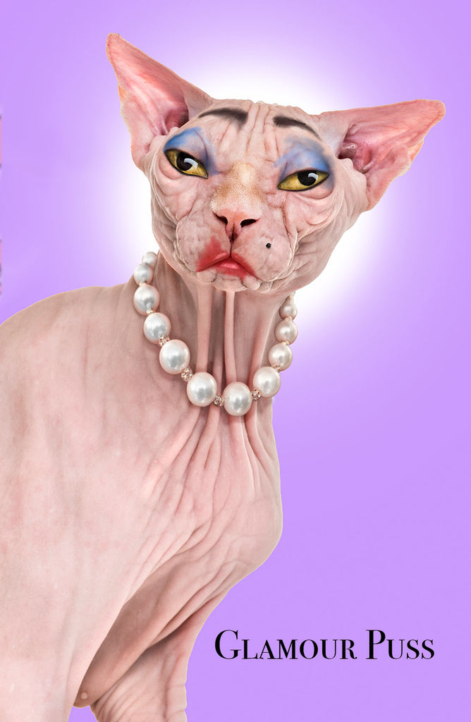 Poster, "Glamour Puss" - Skinny Pete's Gourmet Catnip