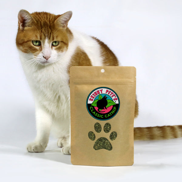 Classic Catnip Packet – Skinny Pete's Catnip