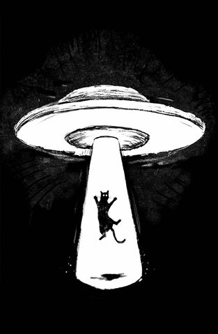 Poster, "UFO Cat" - Skinny Pete's Catnip